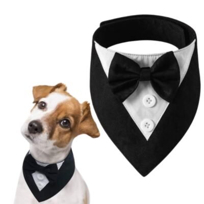 mundosimuffin.com (57) 🎀MOÑO SMOKING ELEGGANTE PARA PERROS🐶