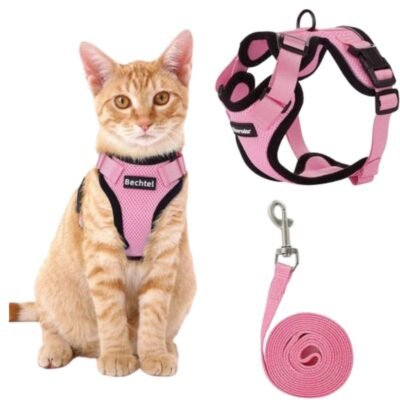 mundosimuffin.com (59) 🐱 ARNÉS CORREA PARA GATOS🐾